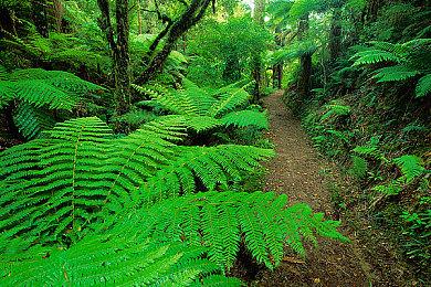 浪漫奇幻视觉小说《塞莱斯蒂亚：命运之链》9月发售